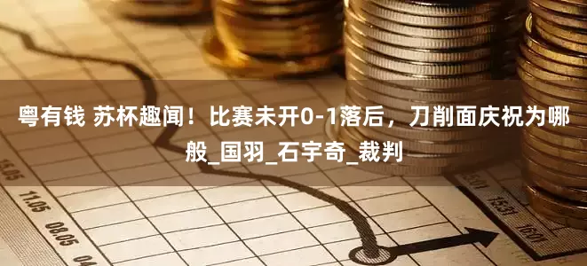 粤有钱 苏杯趣闻！比赛未开0-1落后，刀削面庆祝为哪般_国羽_石宇奇_裁判