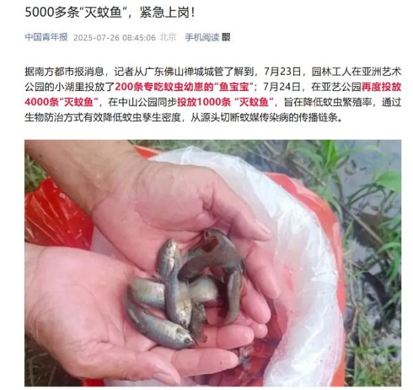 创界 “灭蚊鱼”是外来物种？还有人想养家里！最新提醒