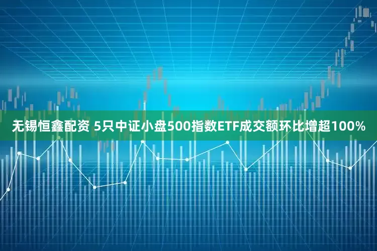 无锡恒鑫配资 5只中证小盘500指数ETF成交额环比增超100%