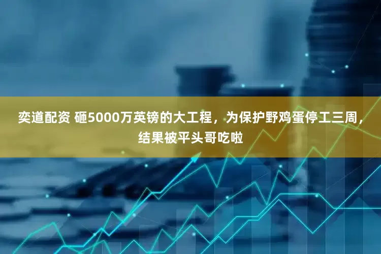奕道配资 砸5000万英镑的大工程，为保护野鸡蛋停工三周，结果被平头哥吃啦